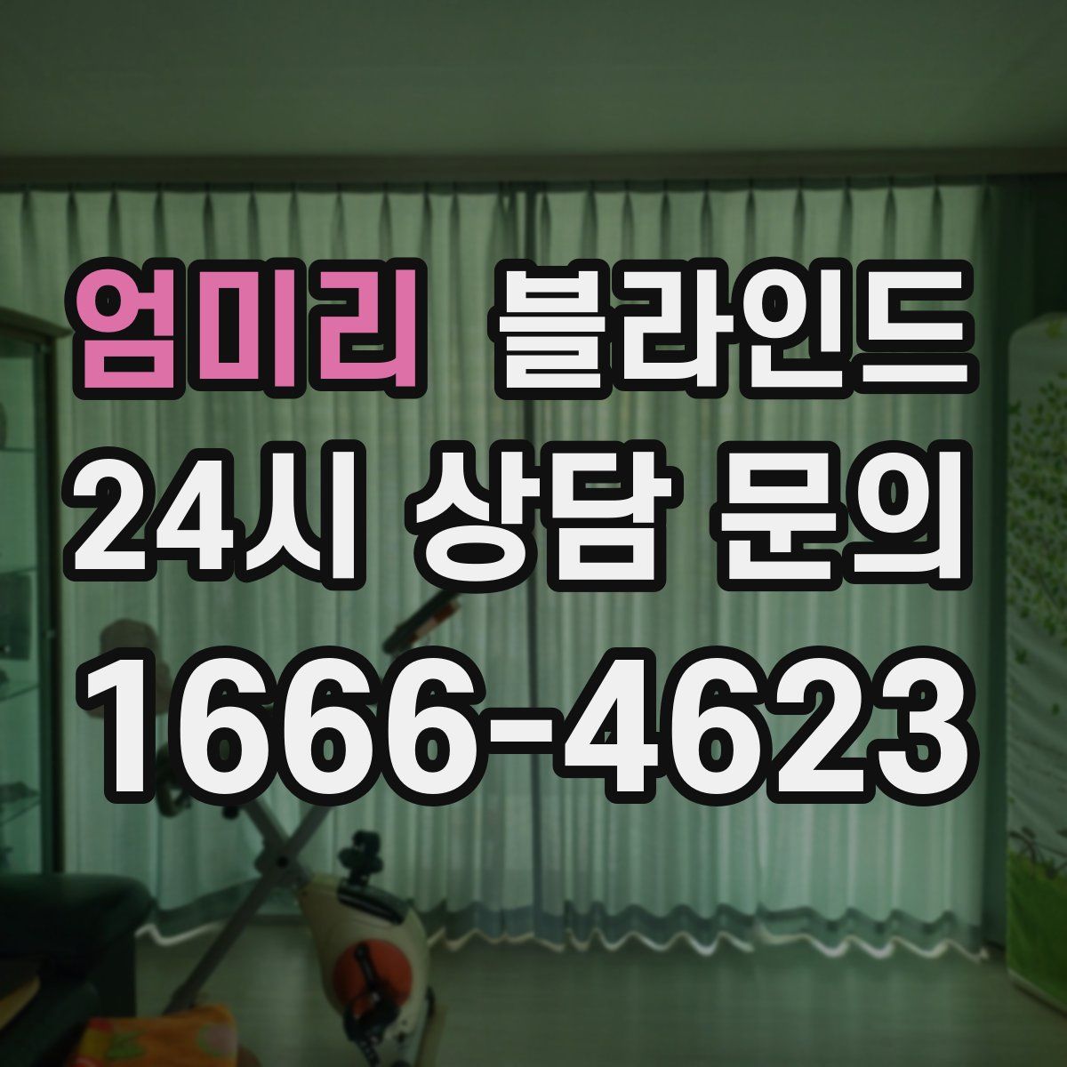 엄미리 블라인드