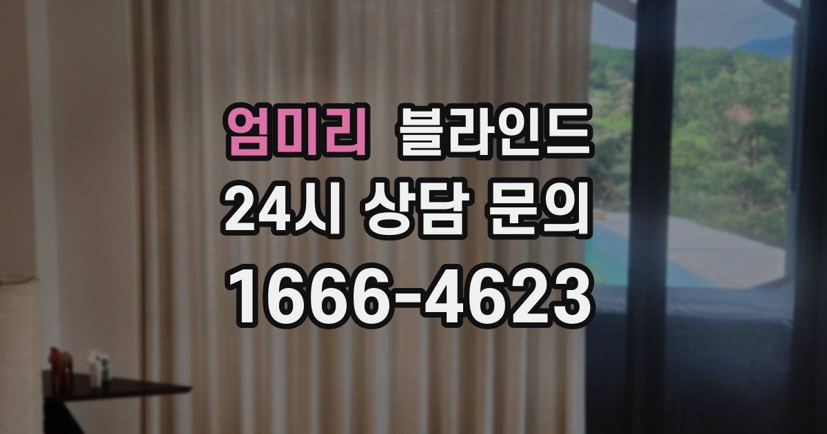 엄미리 블라인드