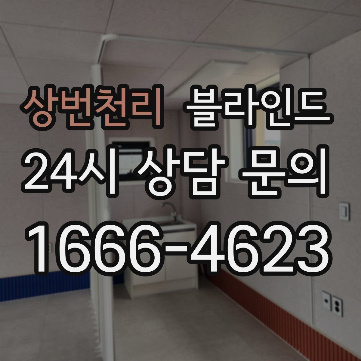 상번천리 블라인드