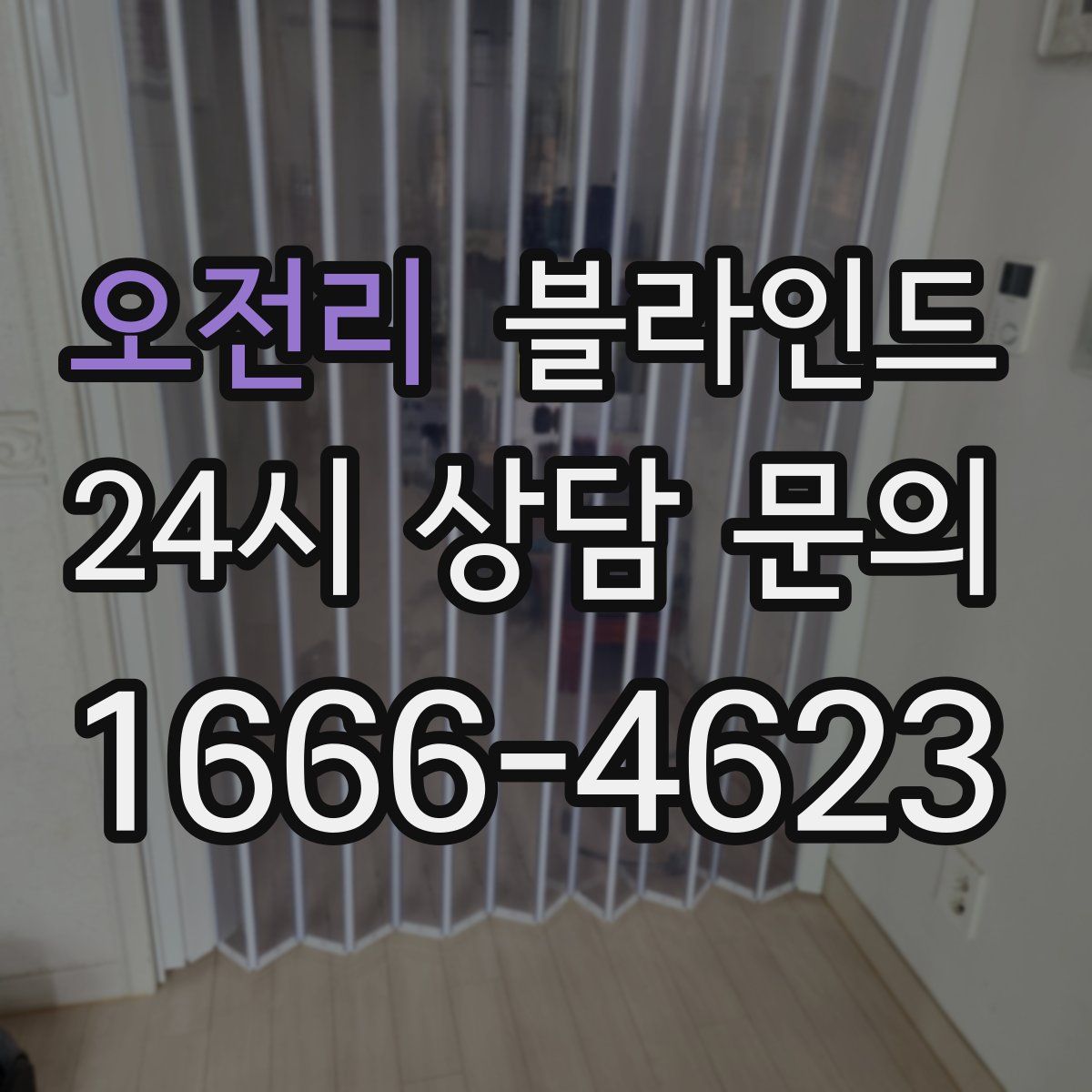 오전리 블라인드