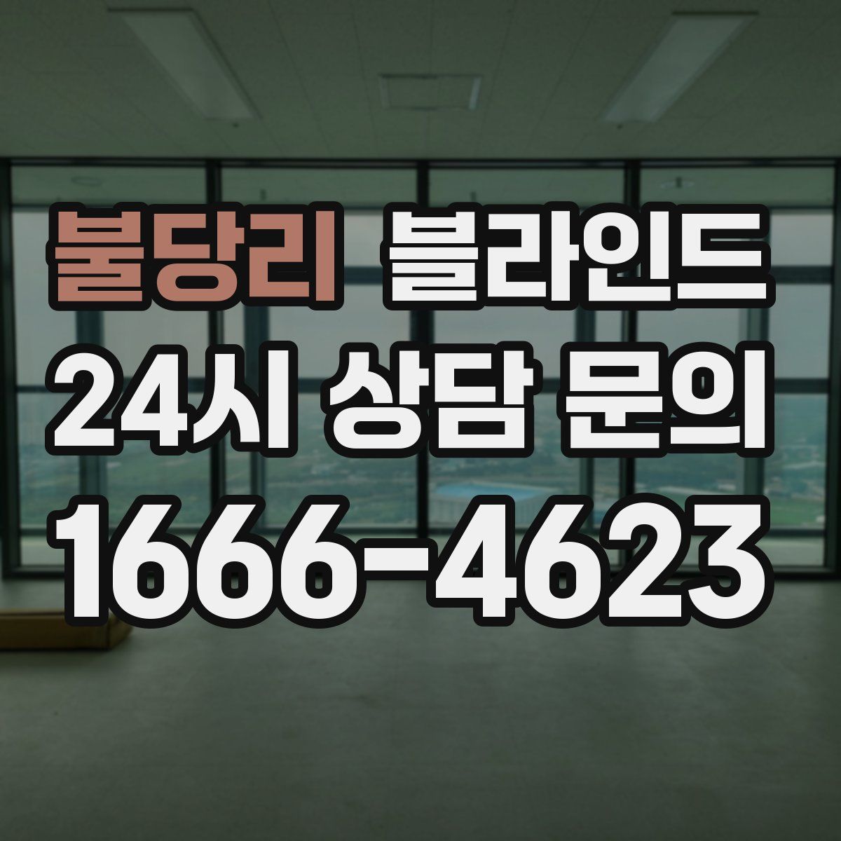불당리 블라인드