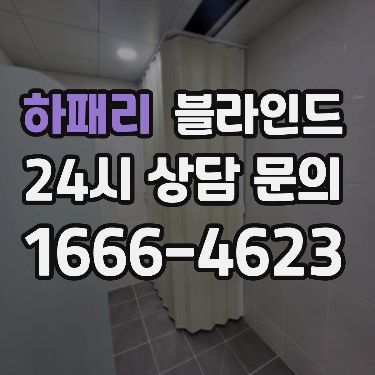 하패리 블라인드