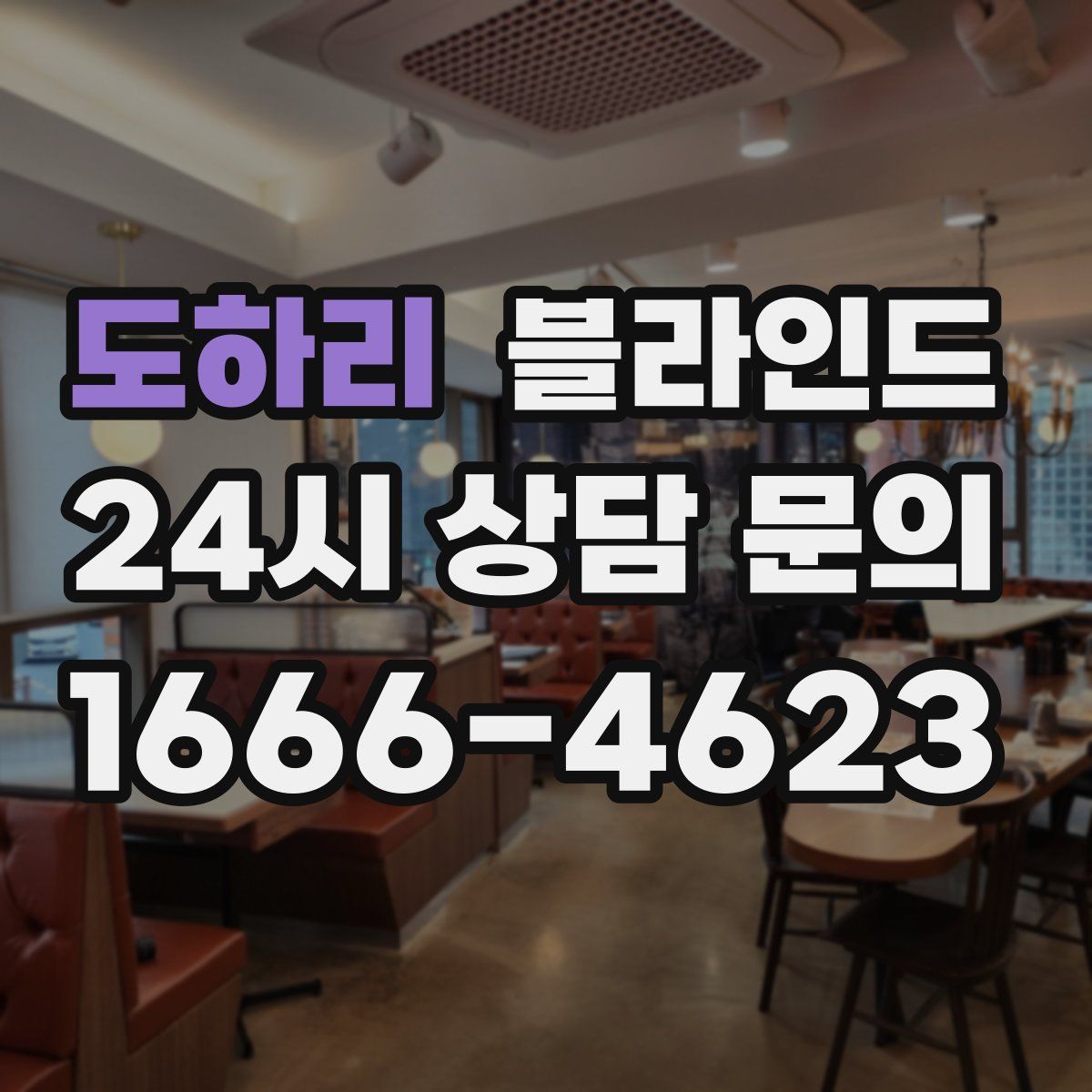 도하리 블라인드