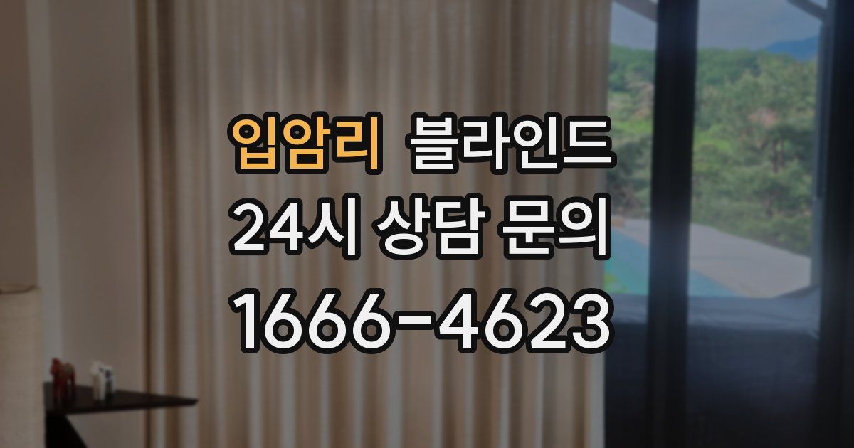 입암리 블라인드