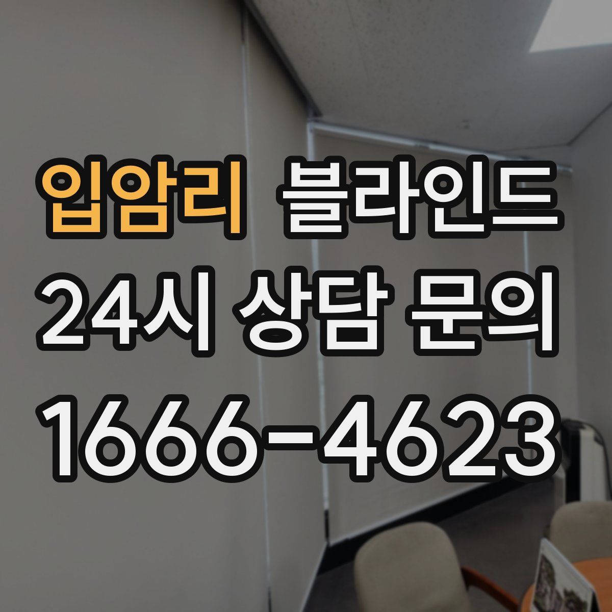 입암리 블라인드