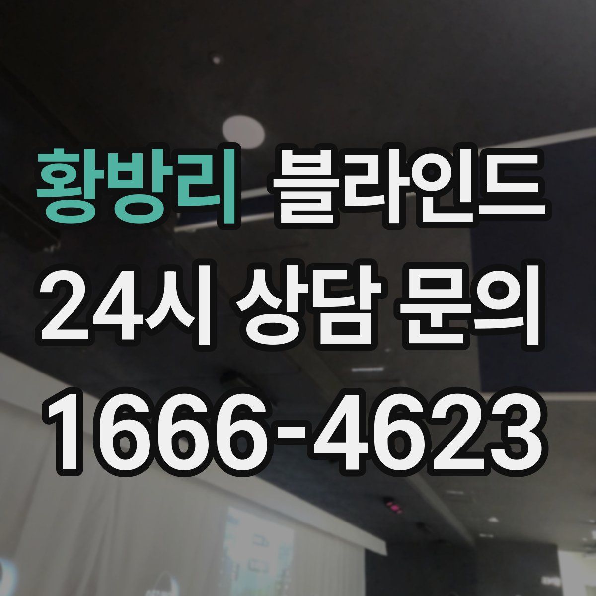 황방리 블라인드