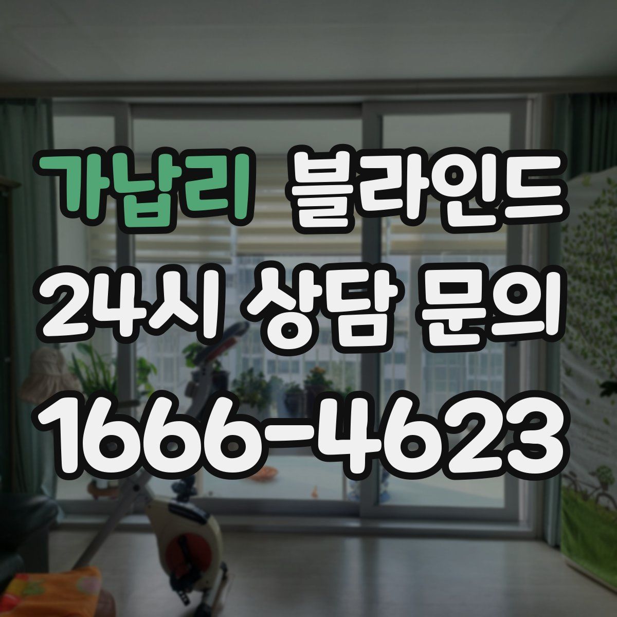 가납리 블라인드