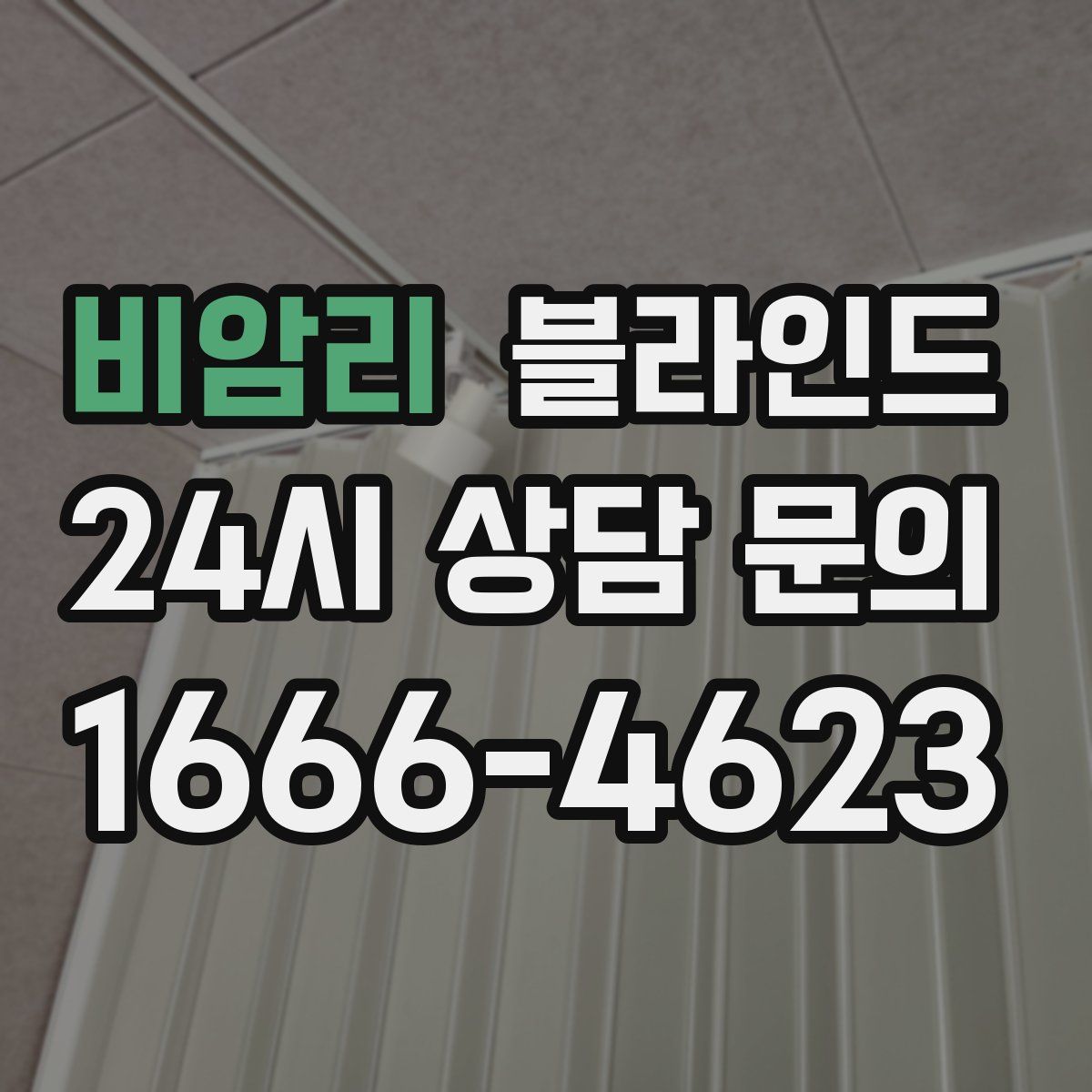비암리 블라인드