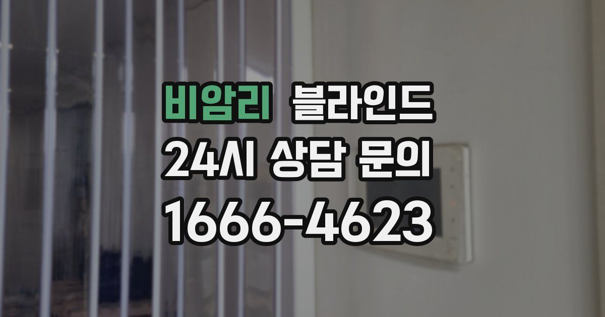 비암리 블라인드