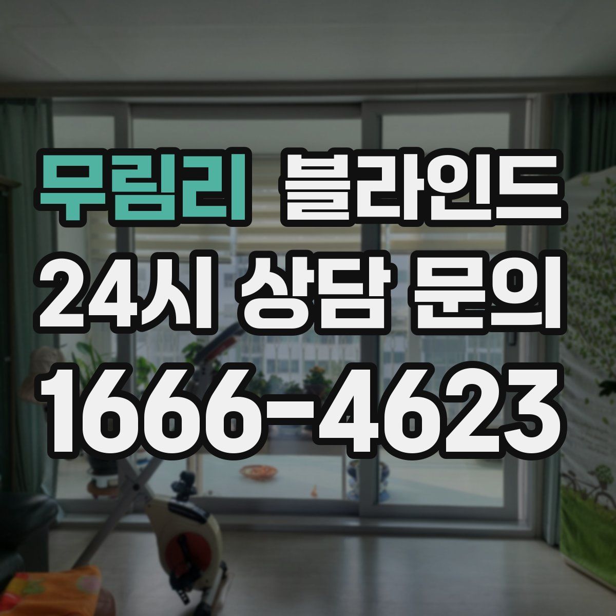 무림리 블라인드