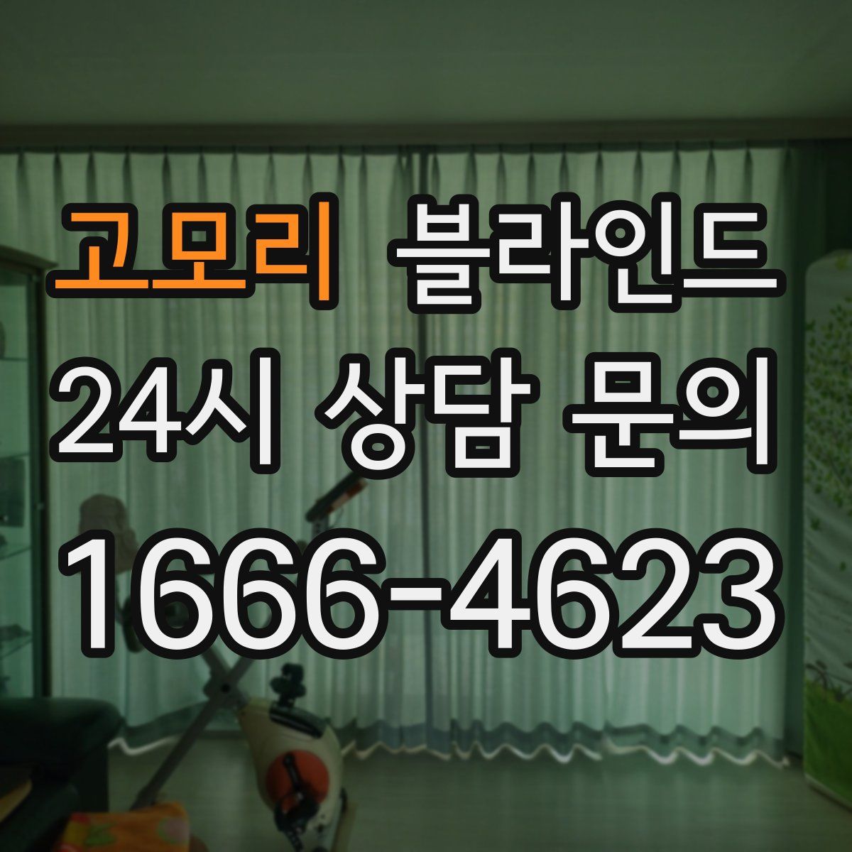 고모리 블라인드