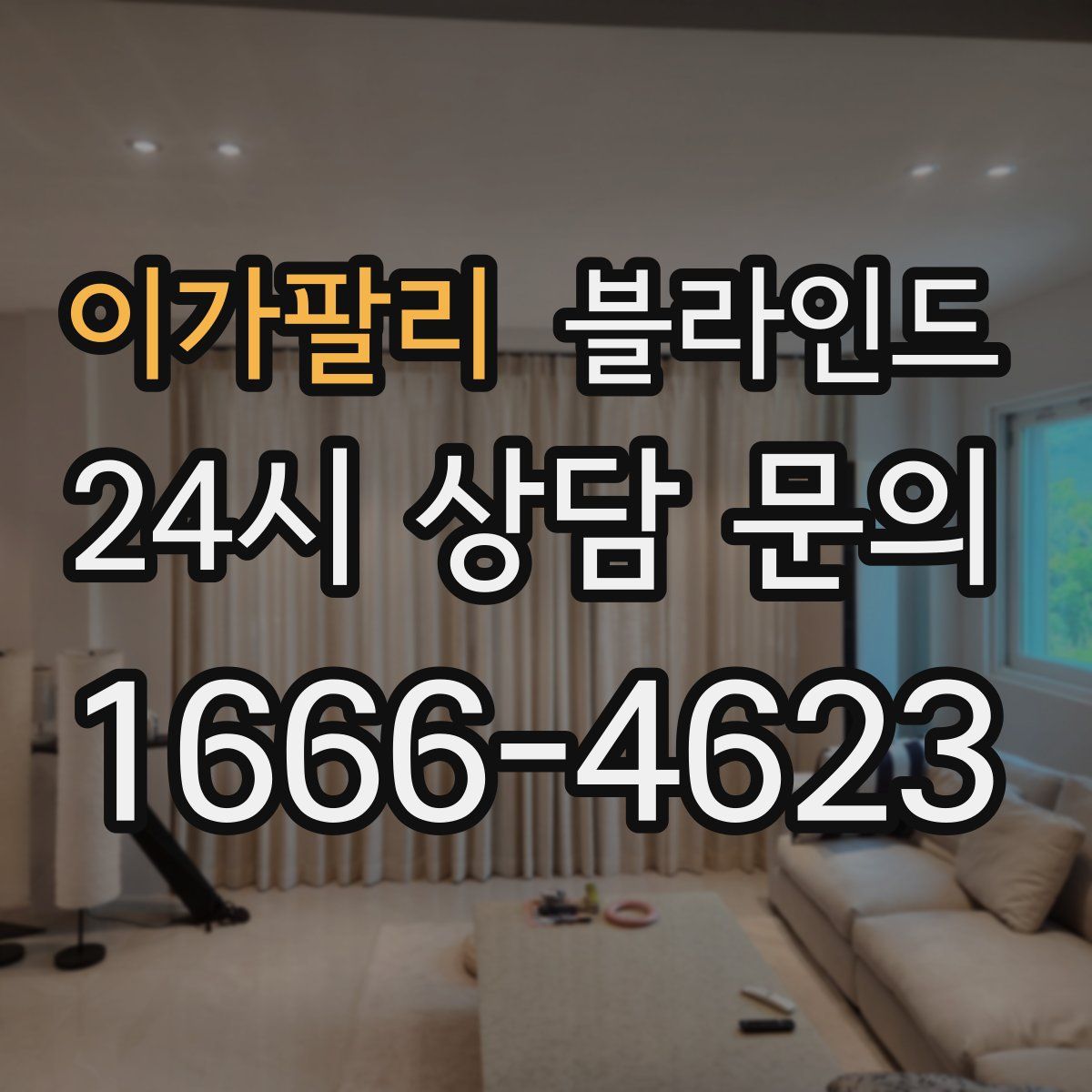 이가팔리 블라인드