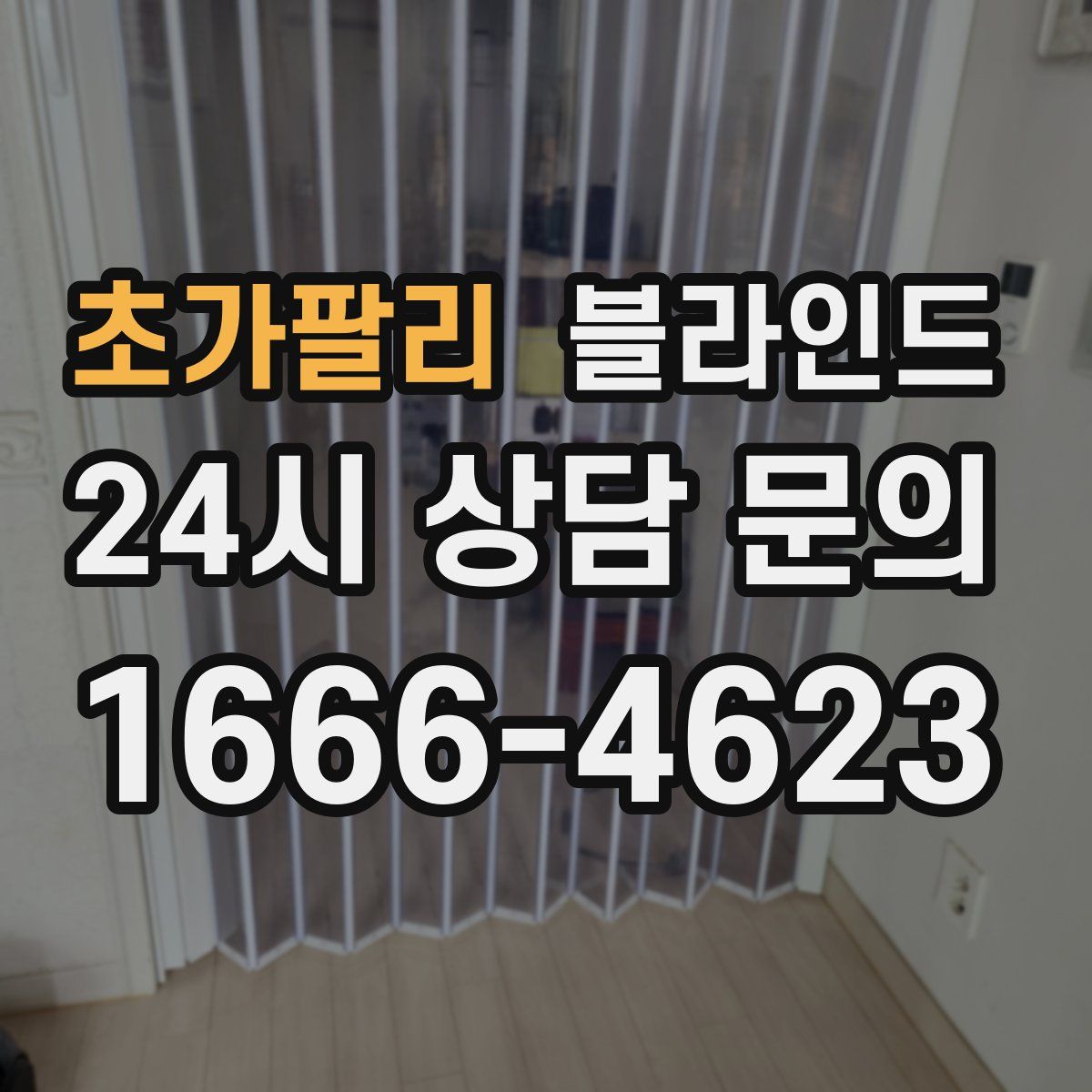 초가팔리 블라인드