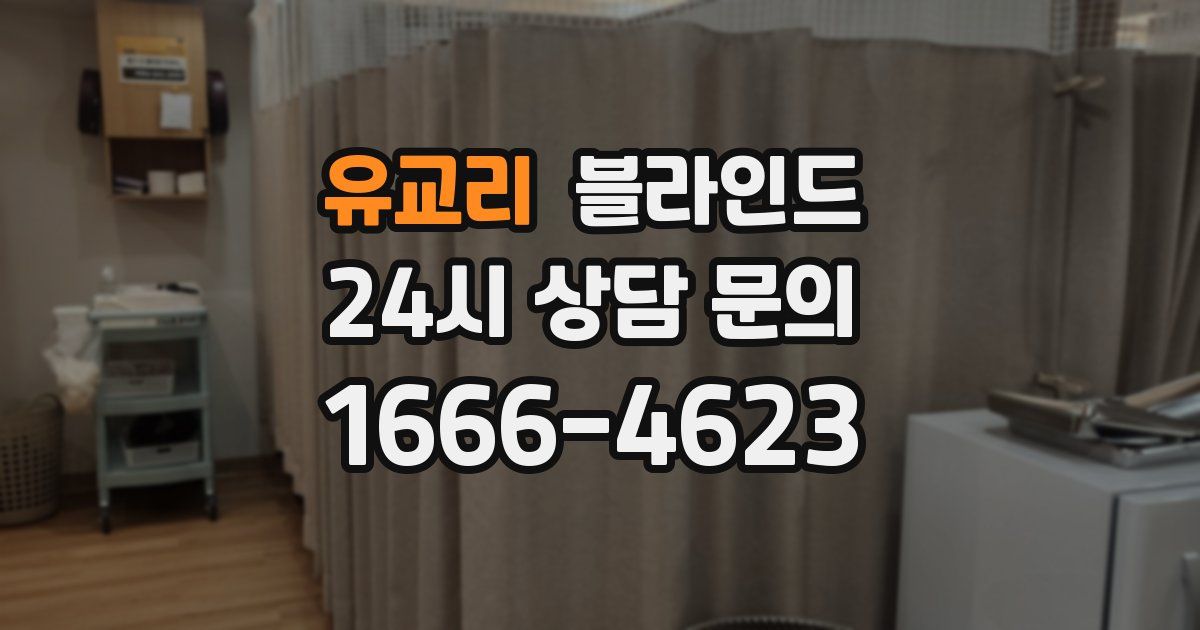 유교리 블라인드