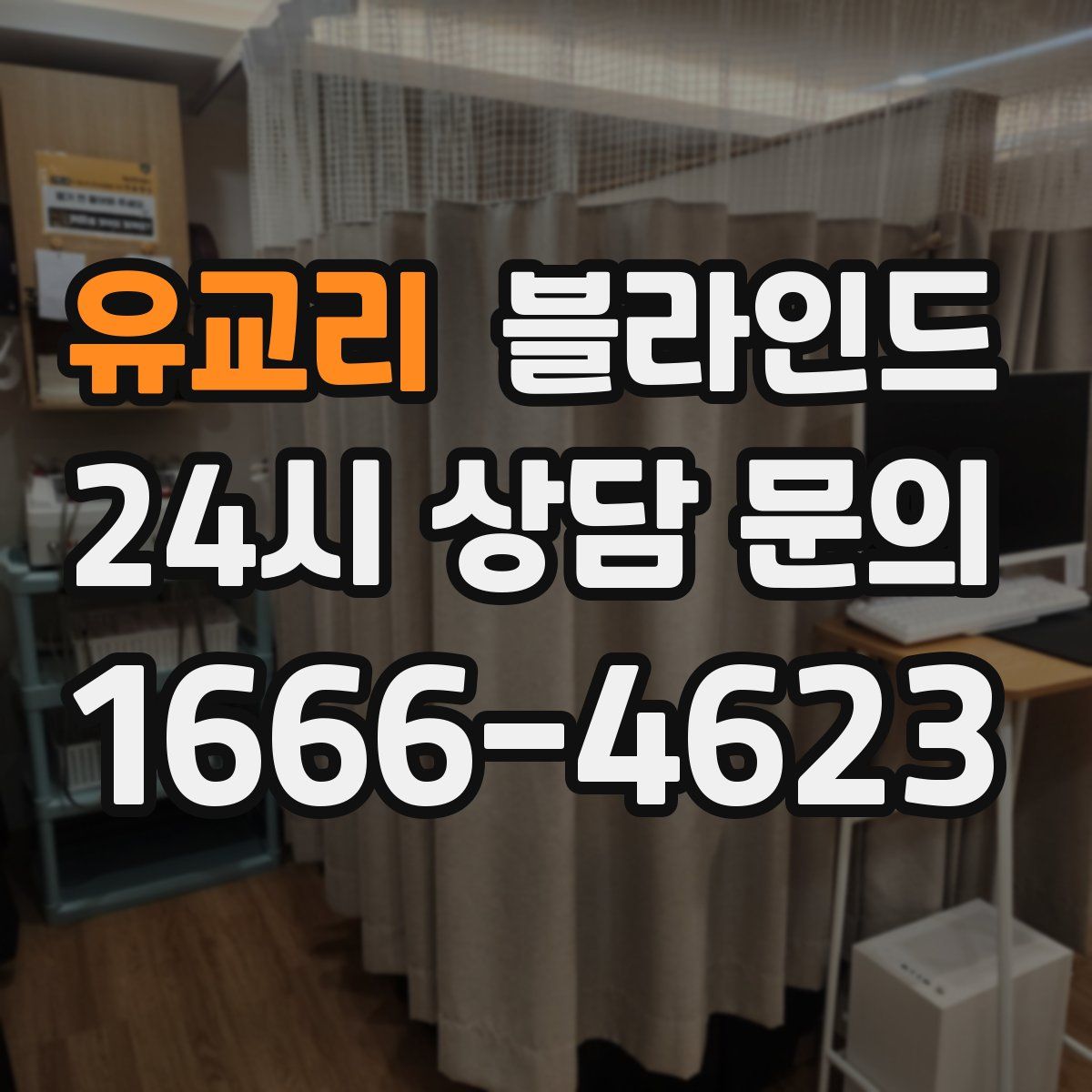 유교리 블라인드