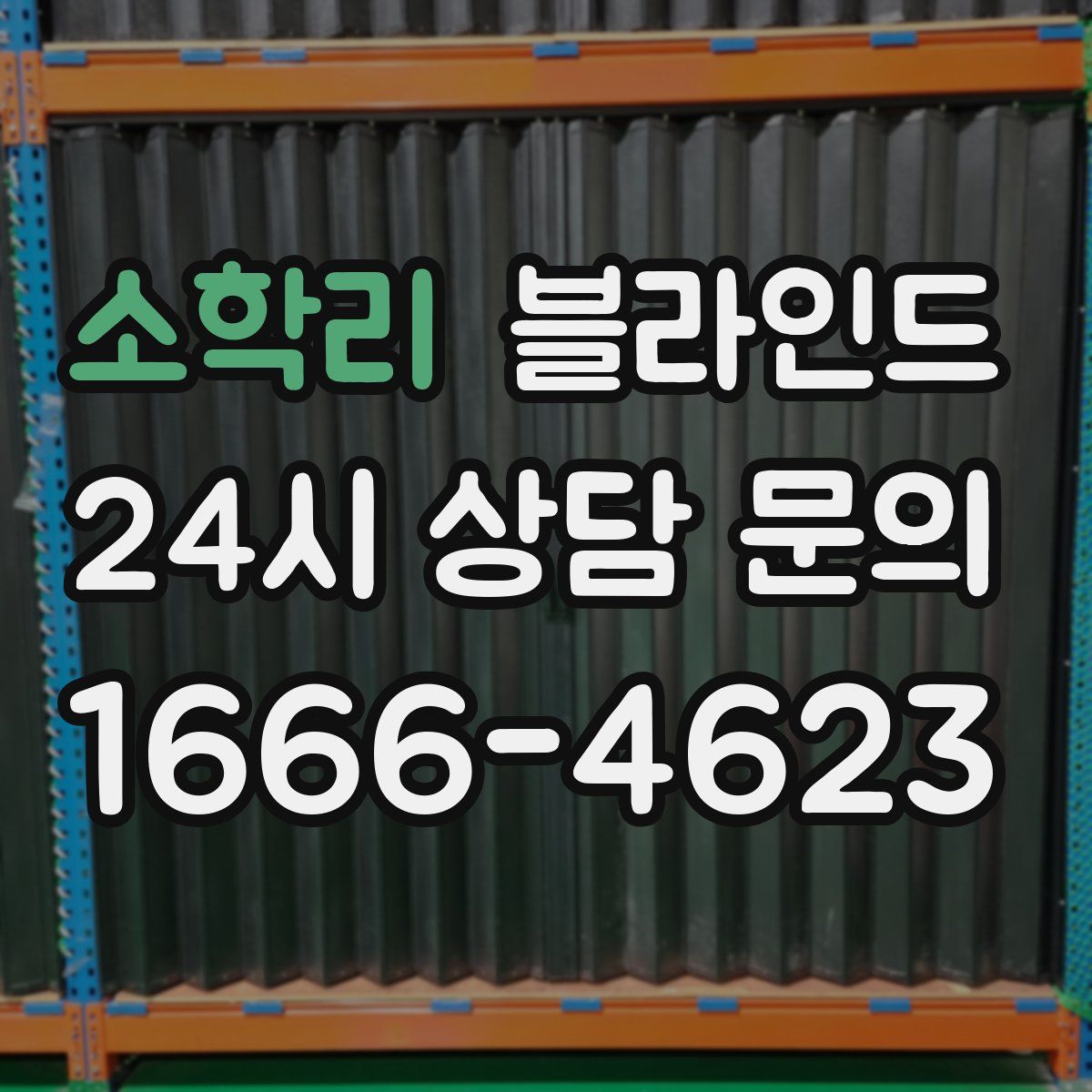 소학리 블라인드