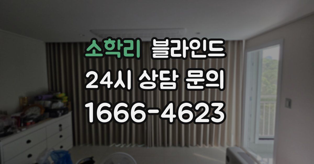 소학리 블라인드