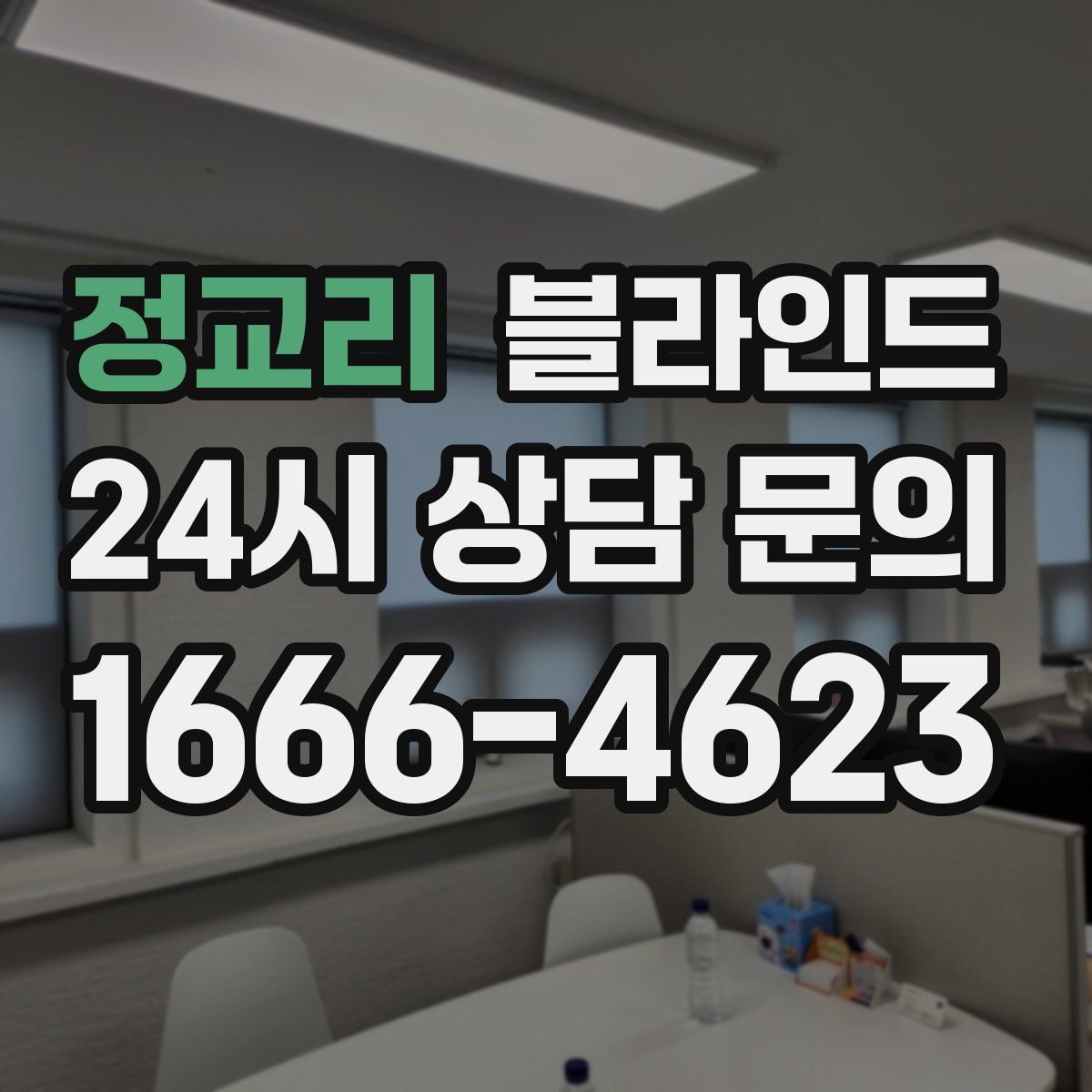 정교리 블라인드