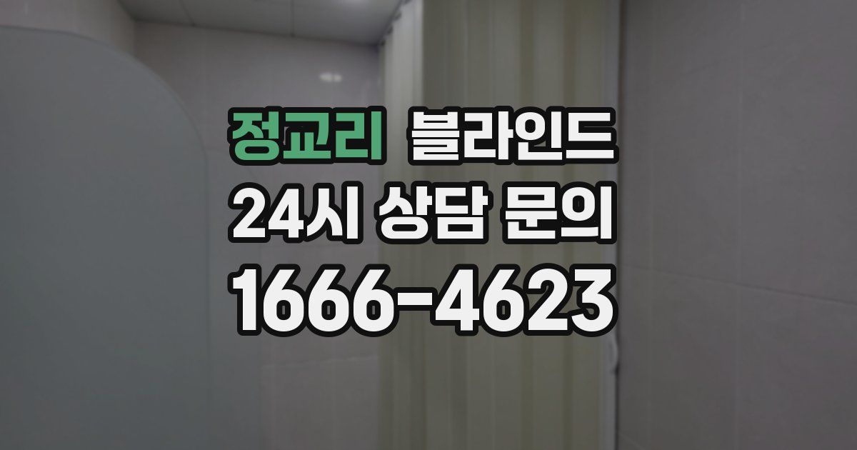 정교리 블라인드