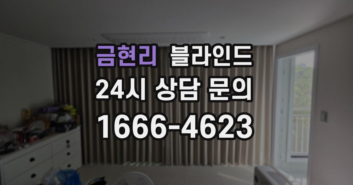 금현리 블라인드