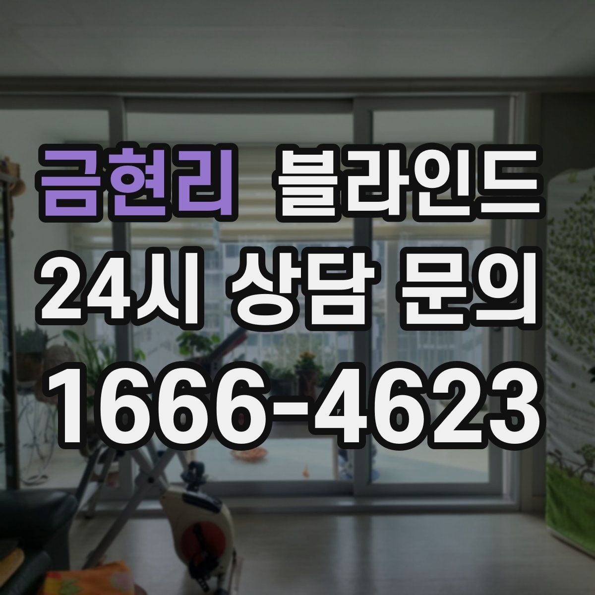 금현리 블라인드
