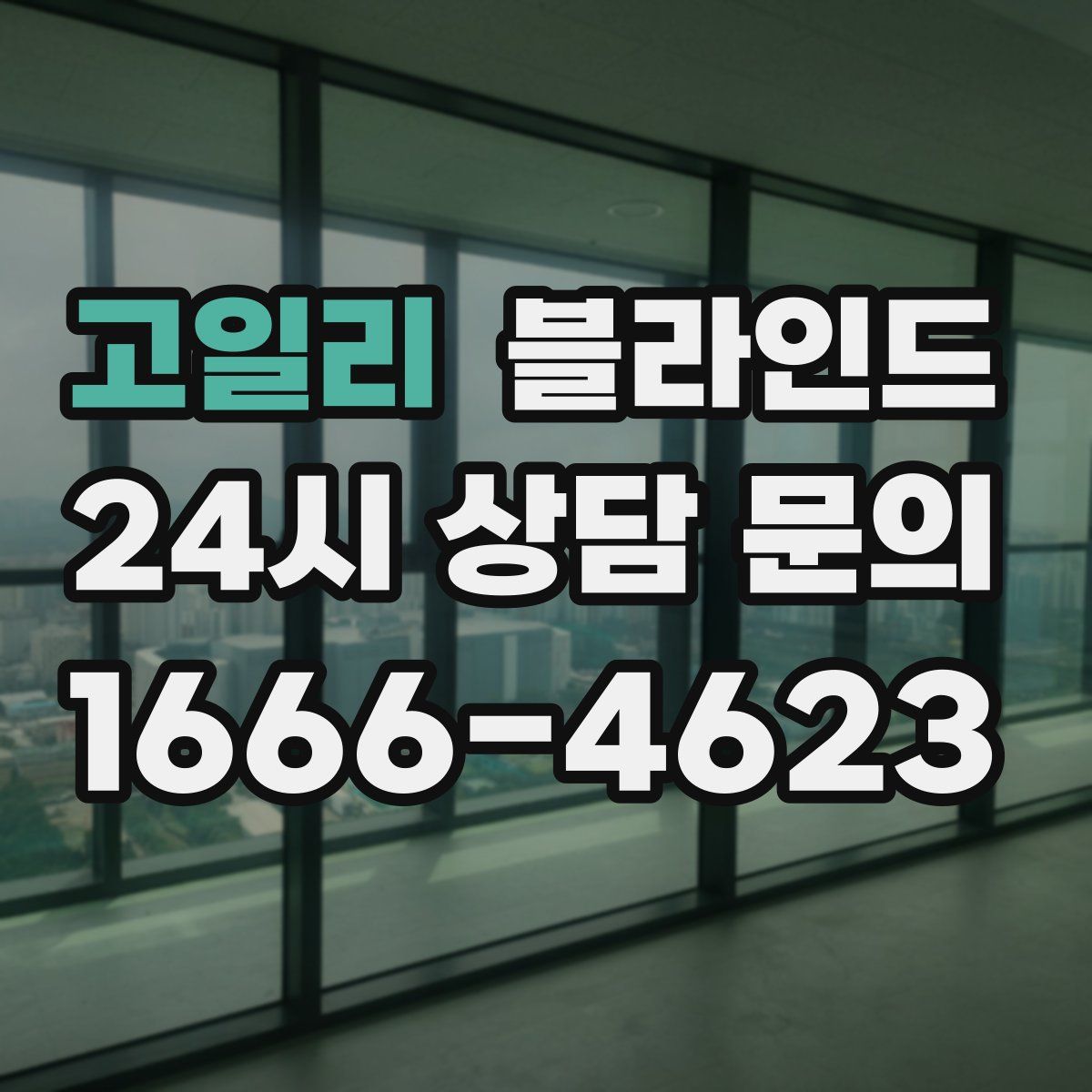 고일리 블라인드