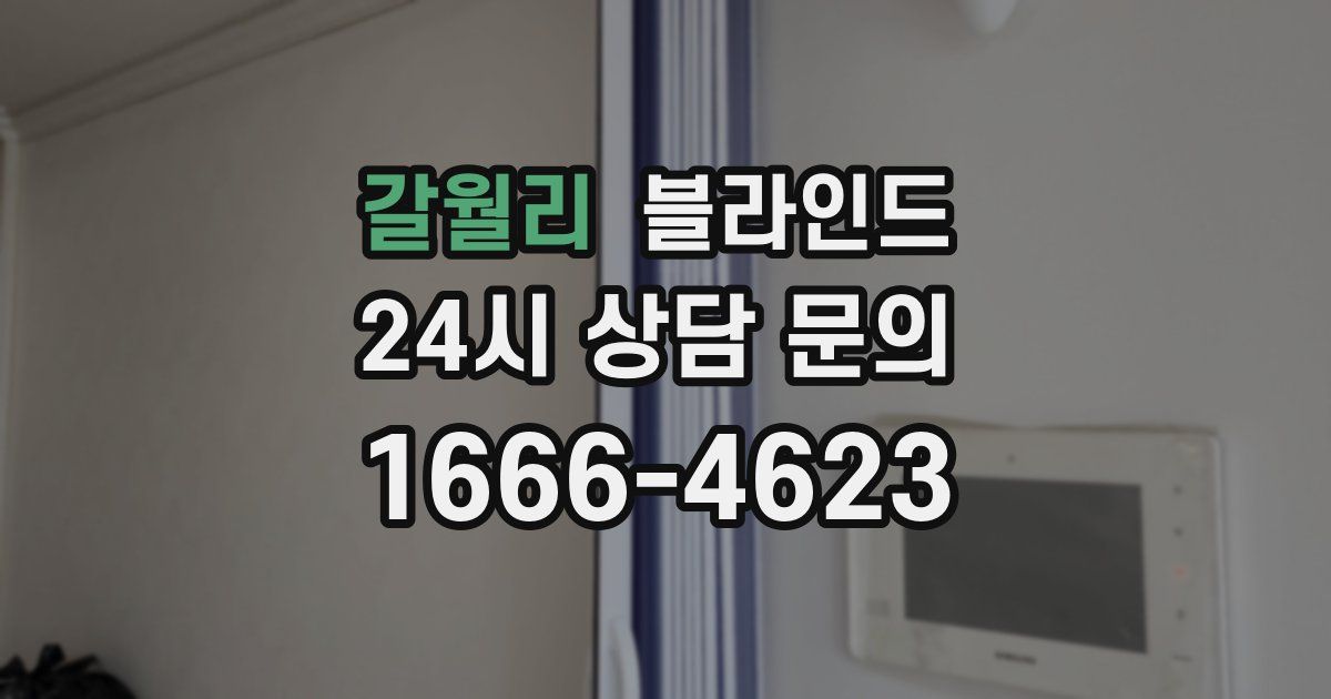 갈월리 블라인드