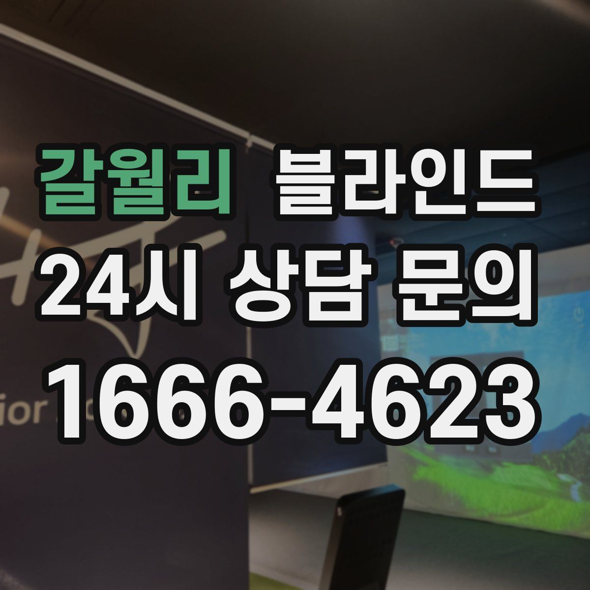 갈월리 블라인드