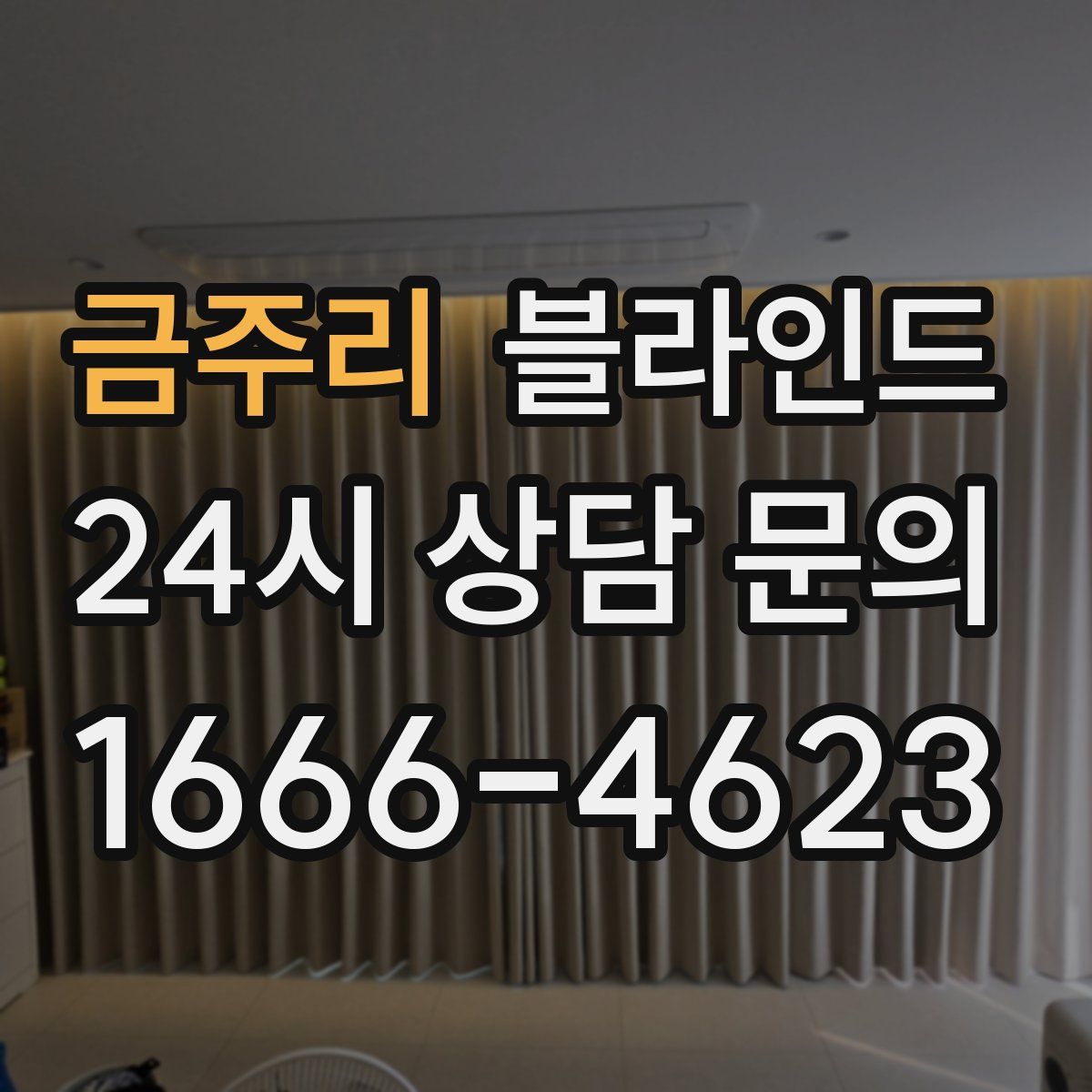 금주리 블라인드