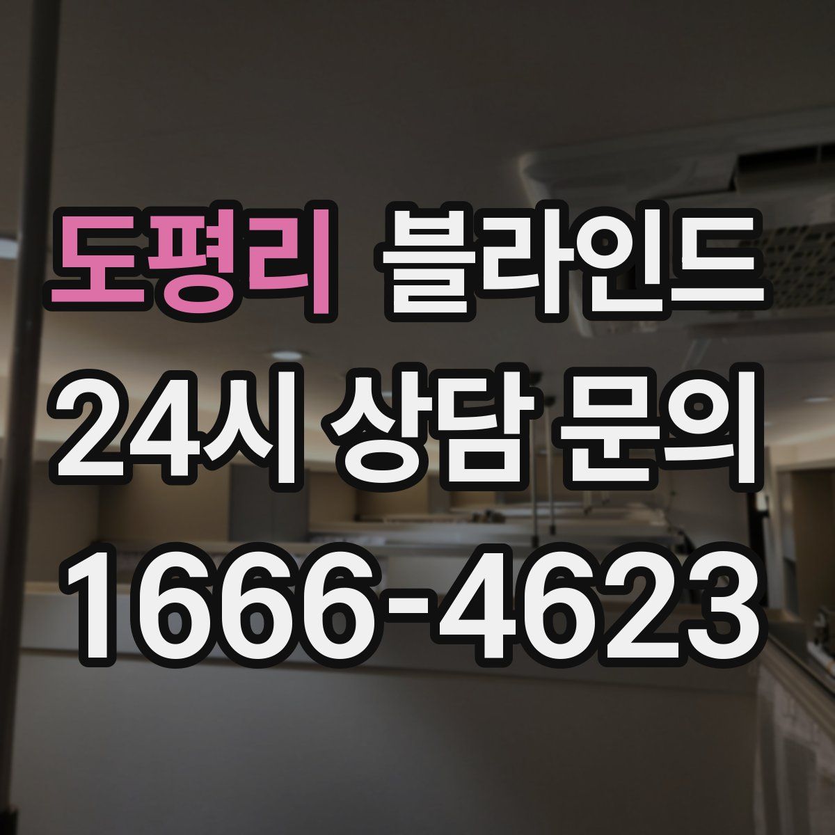 도평리 블라인드