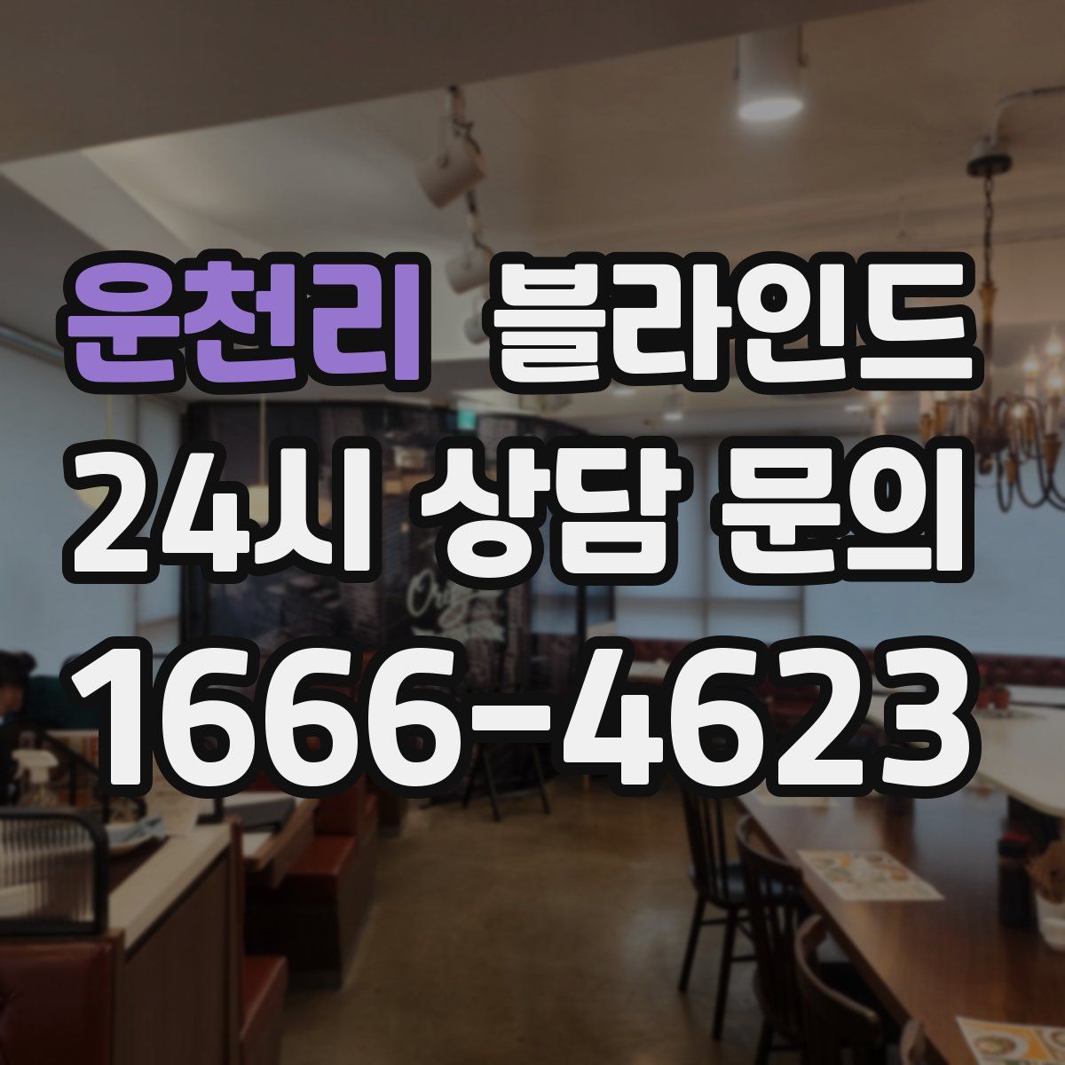 운천리 블라인드