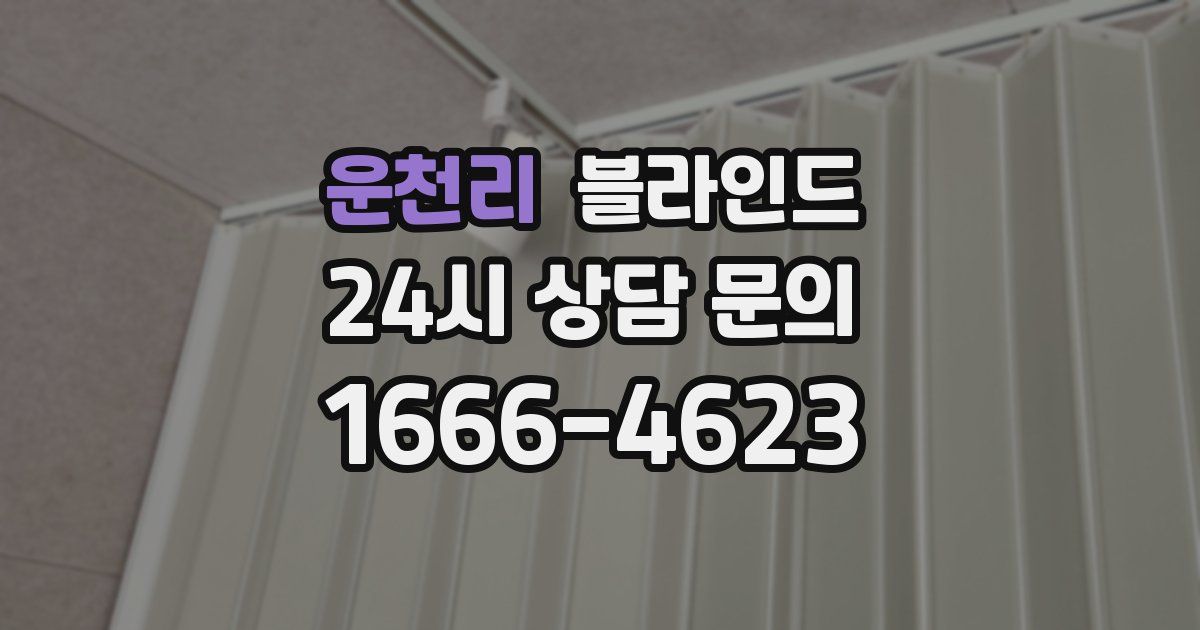 운천리 블라인드