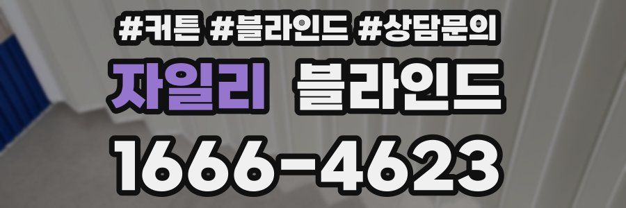 자일리 블라인드