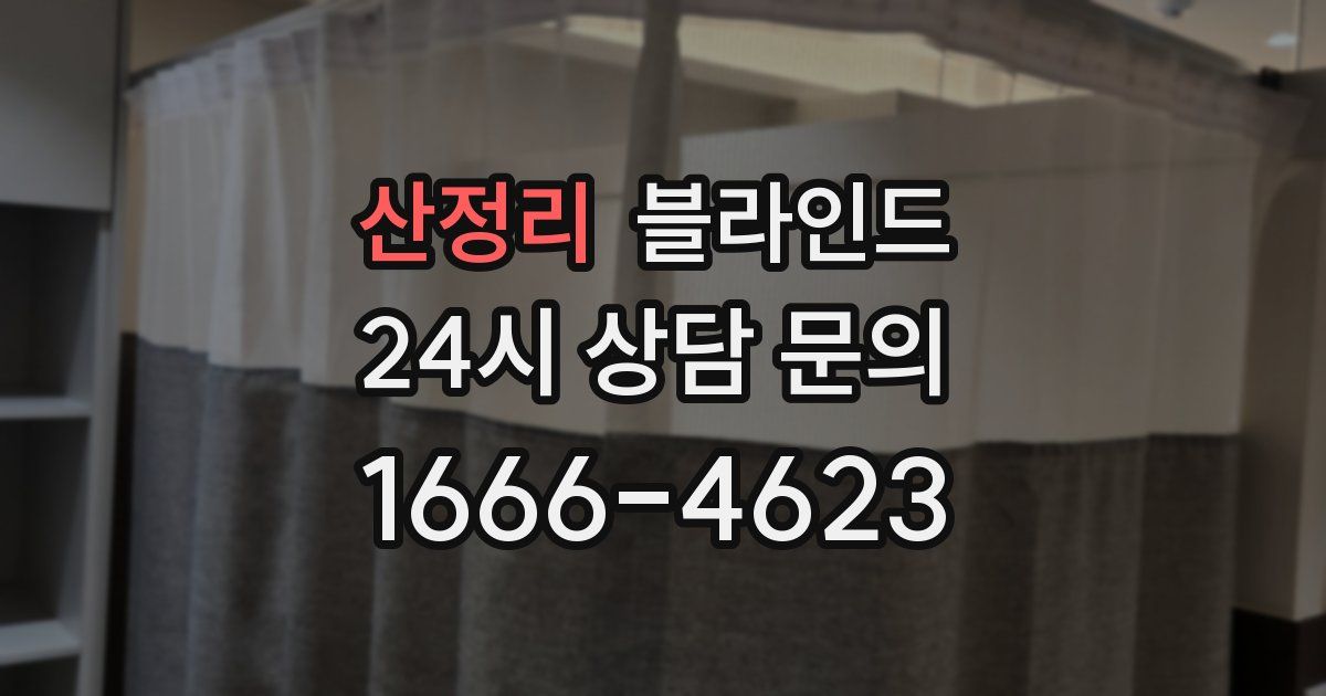 산정리 블라인드