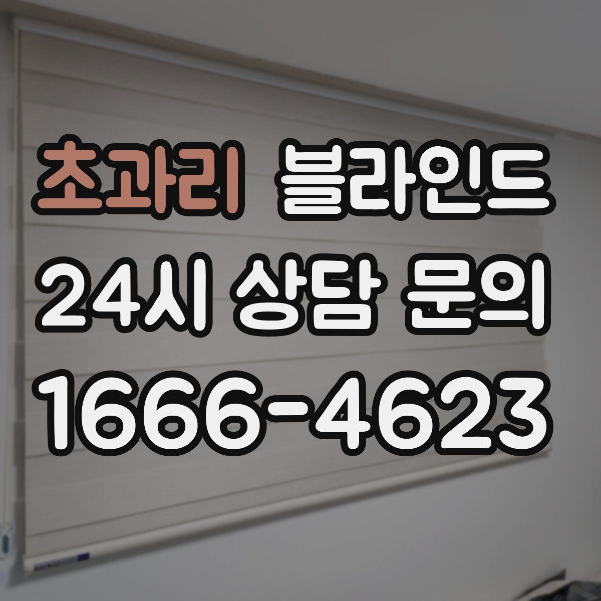 초과리 블라인드