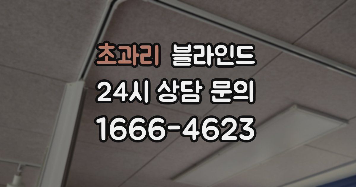초과리 블라인드