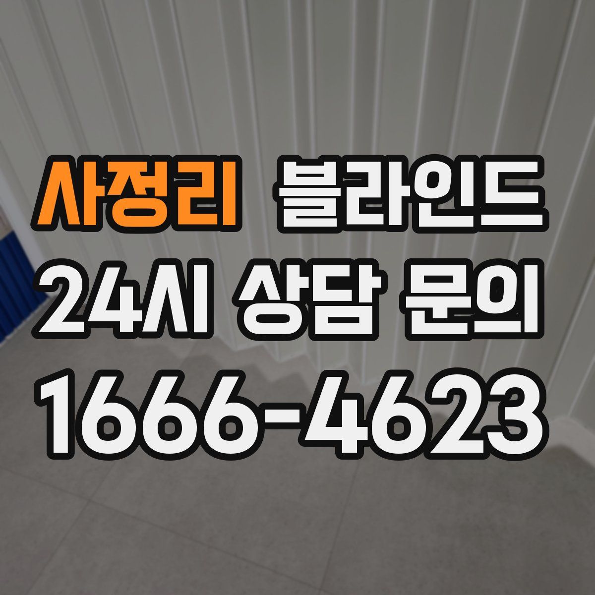 사정리 블라인드