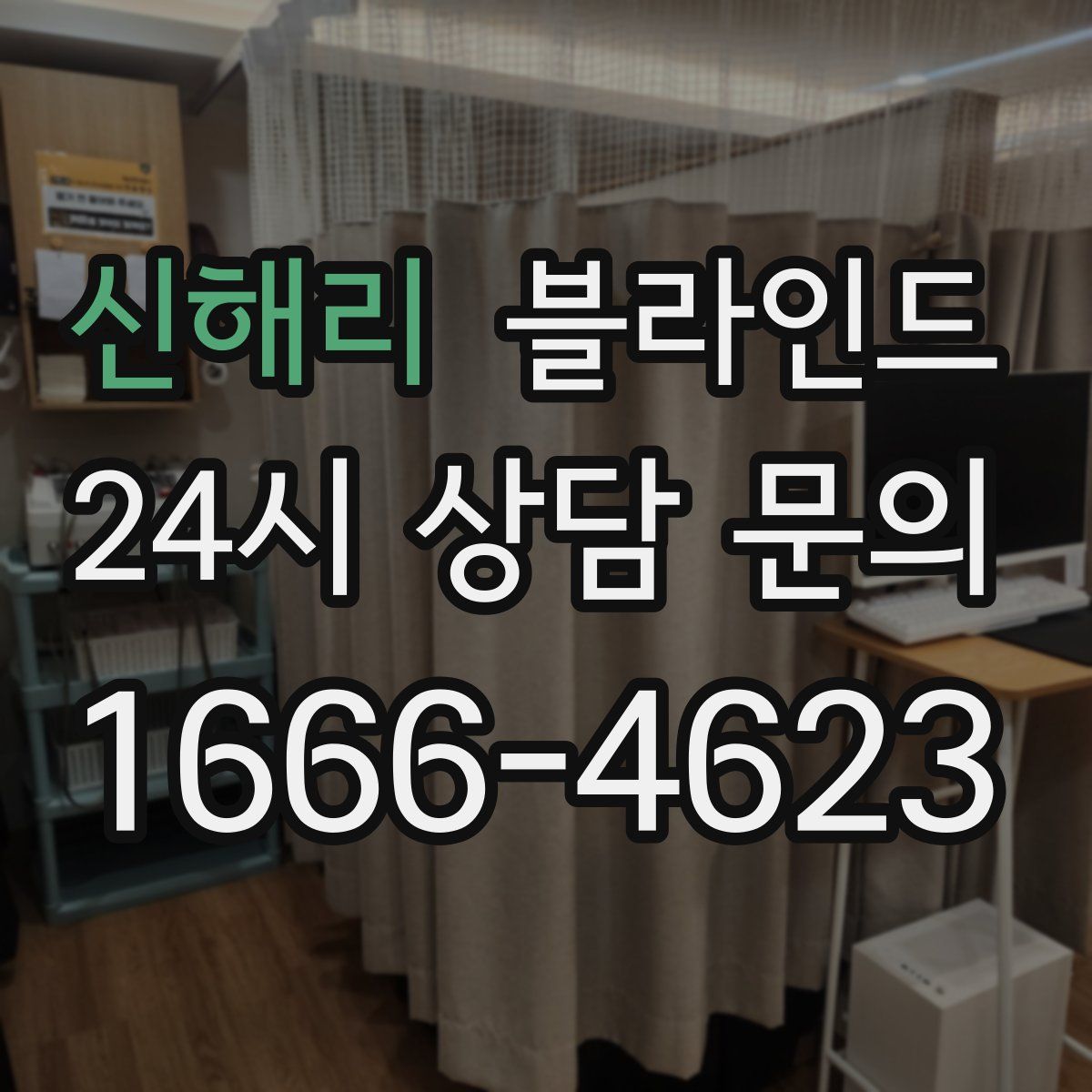 신해리 블라인드