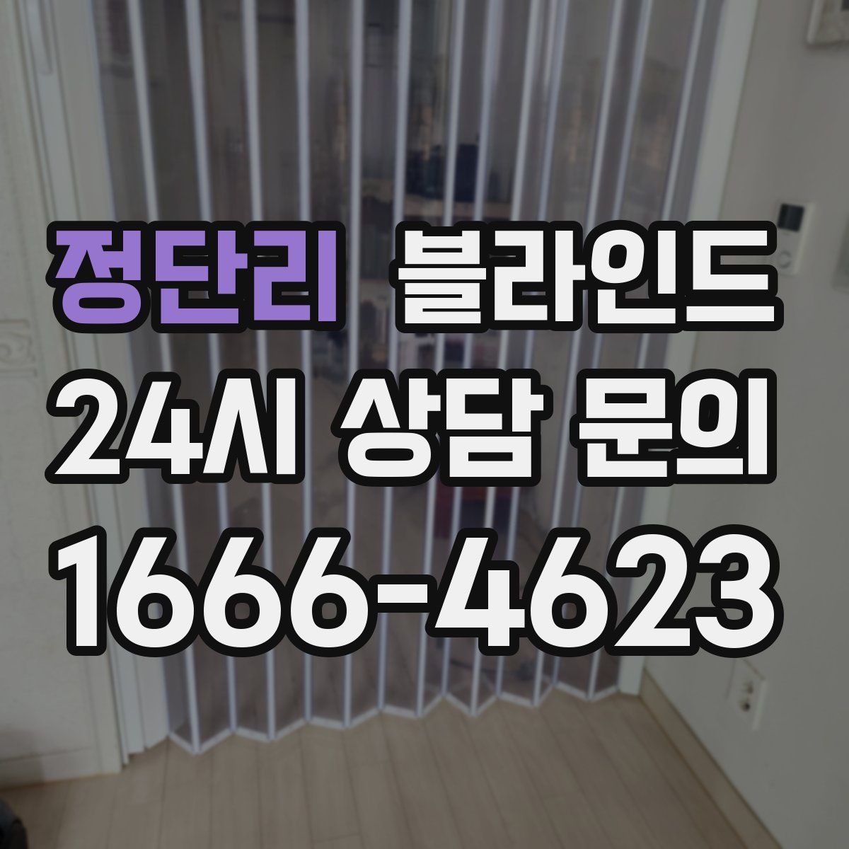 정단리 블라인드