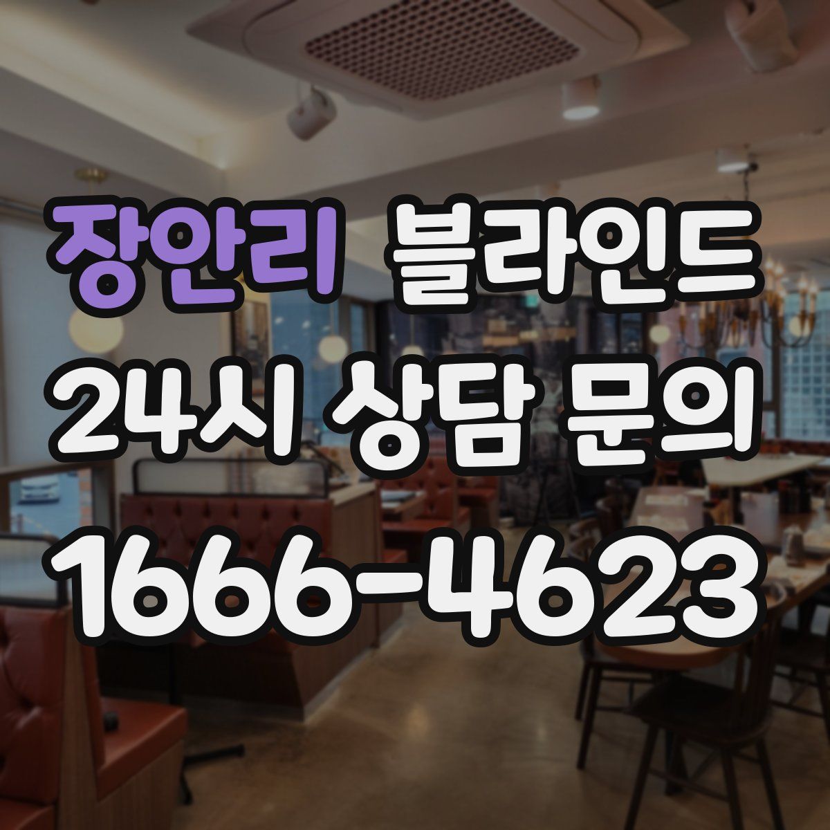 장안리 블라인드