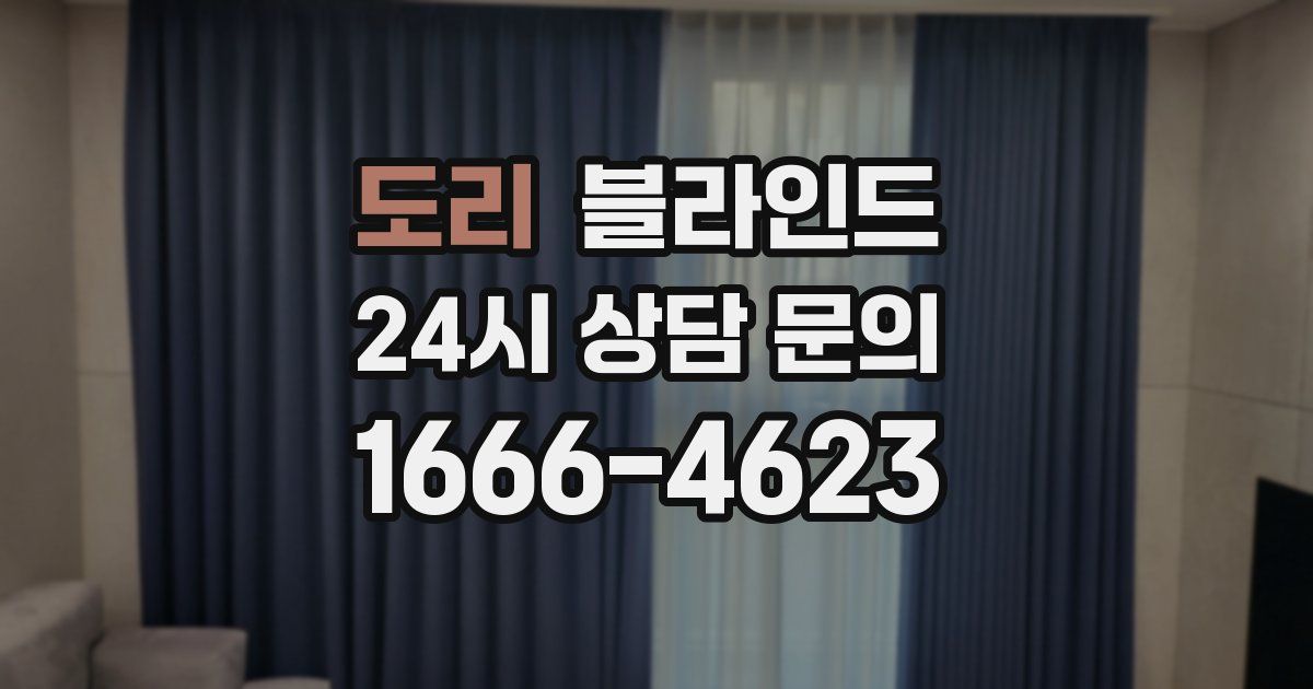 도리 블라인드