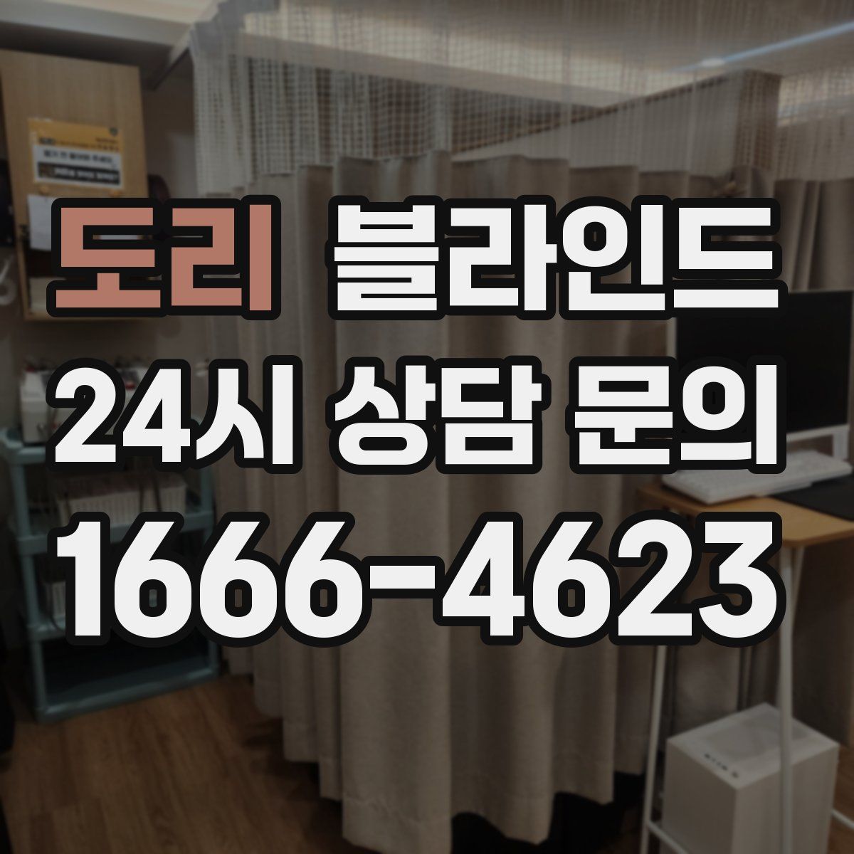 도리 블라인드