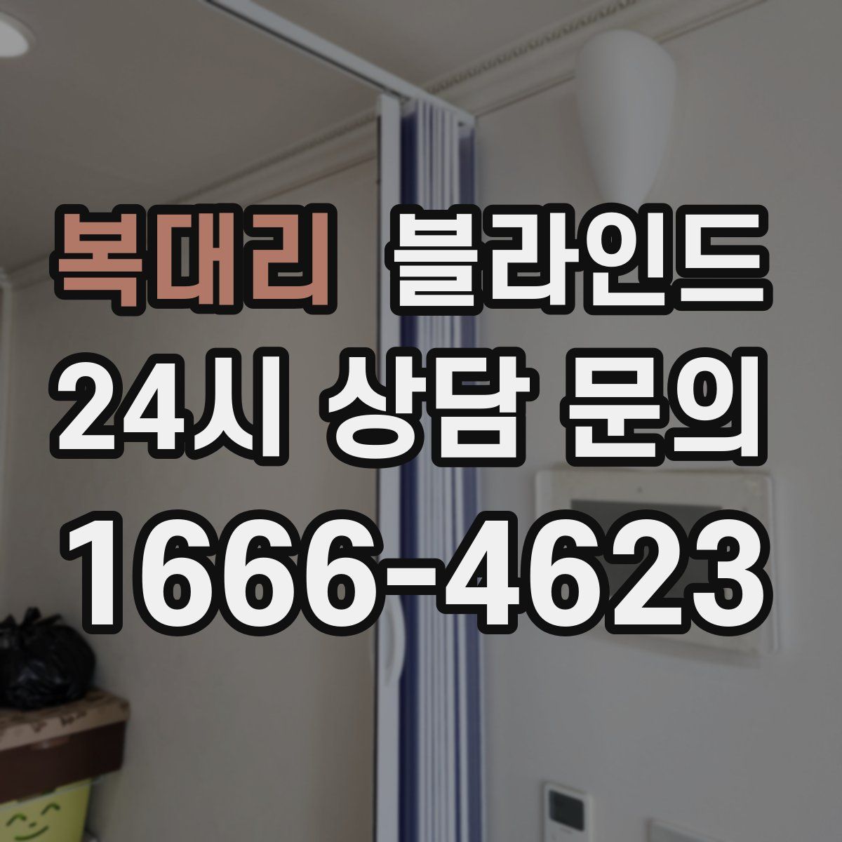복대리 블라인드