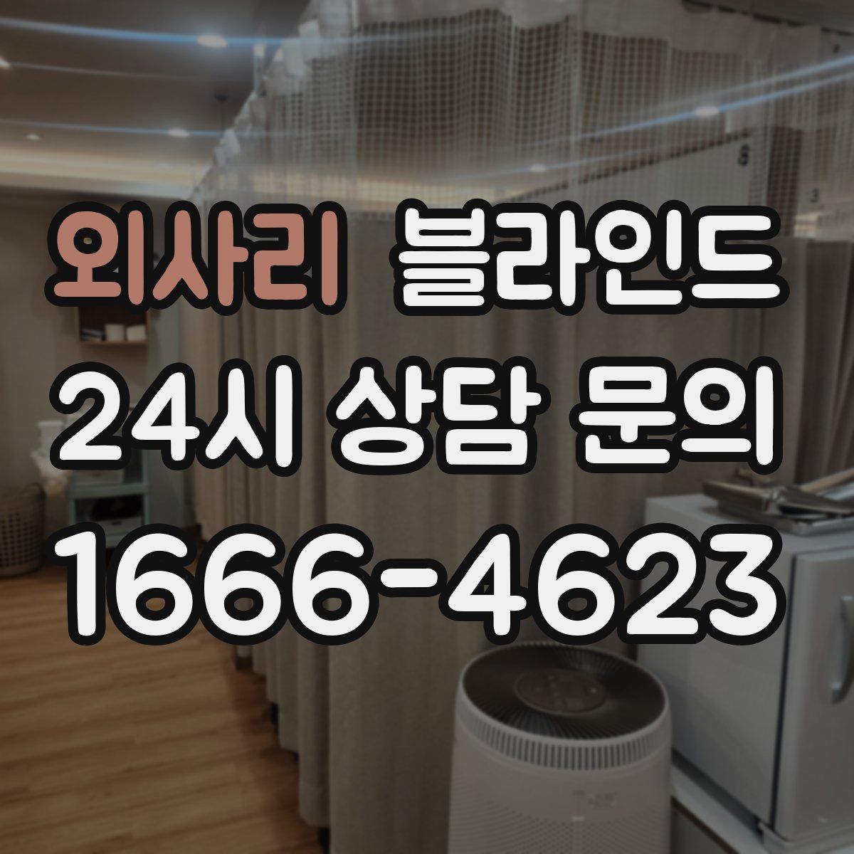 외사리 블라인드
