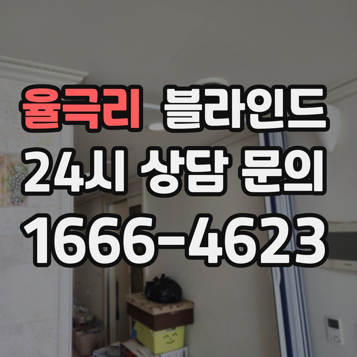 율극리 블라인드