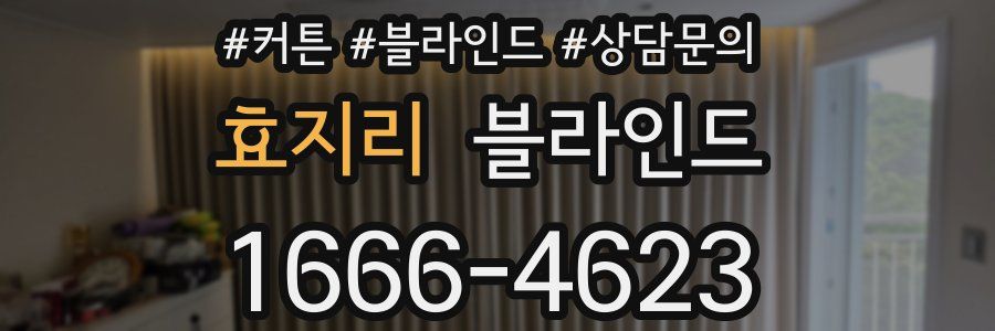 효지리 블라인드