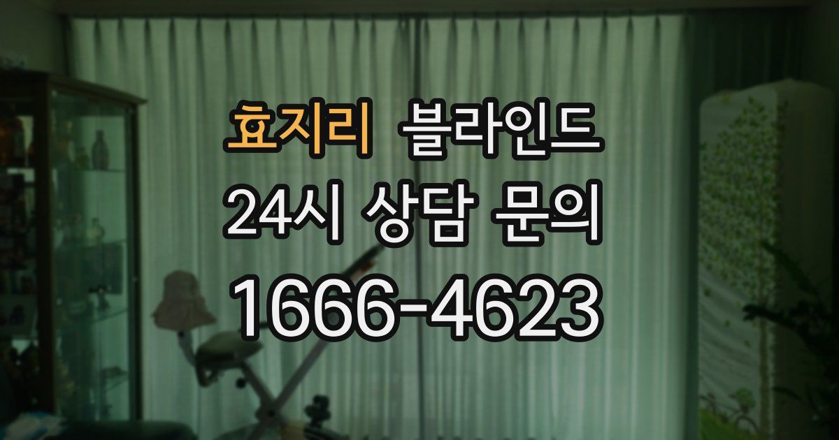 효지리 블라인드
