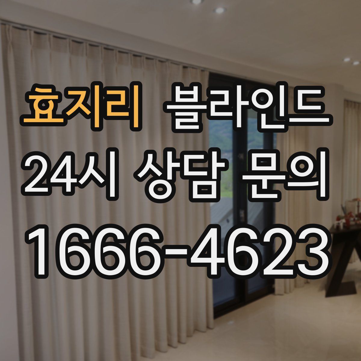 효지리 블라인드