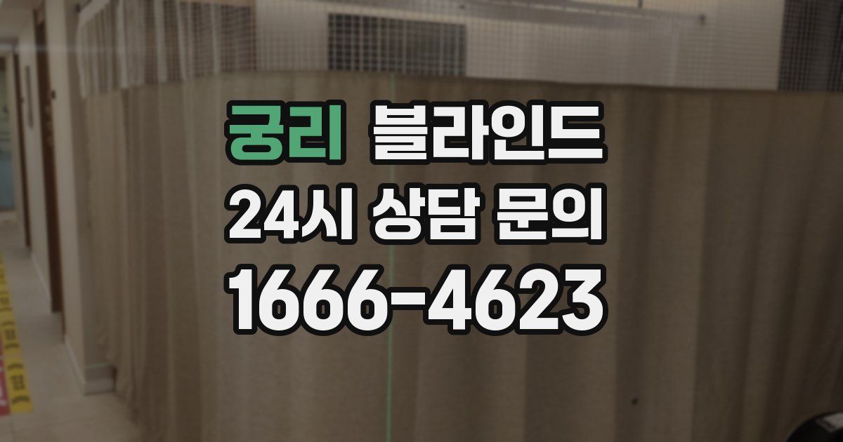 궁리 블라인드