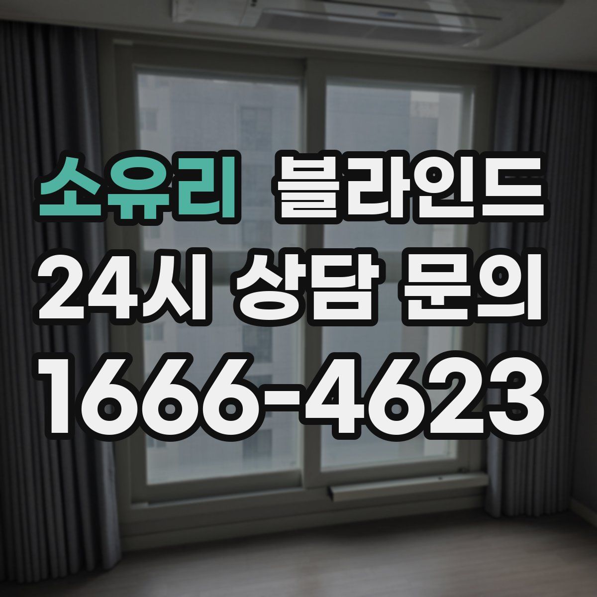 소유리 블라인드
